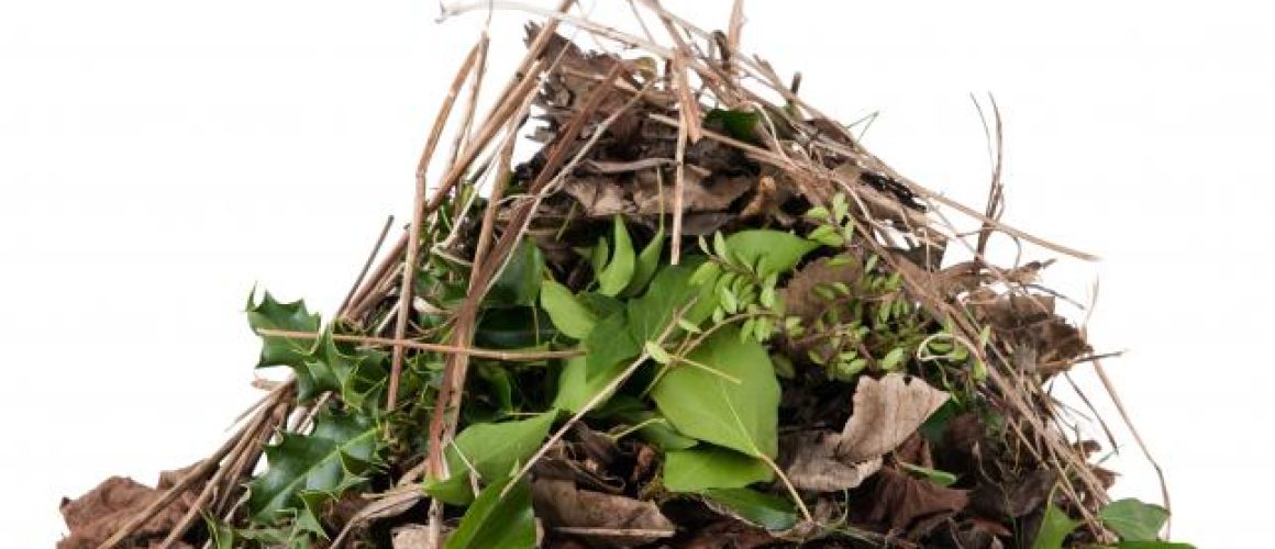 Garden Waste Removal Coastal Skip Hire